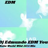 Dj Edmundo EDM You Make World Wild 2014 Mix