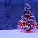 DISPOZE CHRISTMAS MIXXX