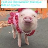 Impro Foutraque