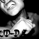 Slashing Hard Techno - Acid-D