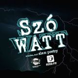 SzóWatt #10 Bárány Bence (2014.04.17.)