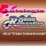 Antologia de la Salsa Romantica III