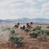 Love&Mercy Sweat Lodge Radio 12-1-14
