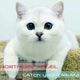Northern Angel - CATch your Dream