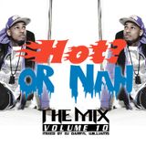 DJ Darryl Presents…… Hot? Or Nah? 'The Mix'! Vol. 10 (Explicit)