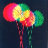 Dandelion #5