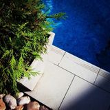 Shoomadisco - Friendly Fire Pool&Bar-B-Q Party