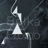 Belka Promomix 2015