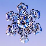 SNOWFLAkE MAkER 003 - WONDERLaND