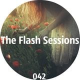 The Flash Sessions 042 - by Flesher