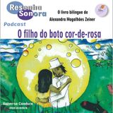 Resenha Sonora - O filho do boto cor-de-rosa