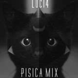 Luci4 Pisica hi-tech psy mix