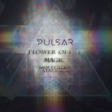 Flower of Life Magic | Molecular Stage PULSAR Festival 2015