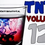 The Notorious Mix volume 12 (Mixed by NTRSDNS)