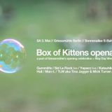 Man-L Box of Kittens 3-5-2014 openair at Griessmühle's