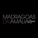 Madragoas com António Zambujo (06/12/2014)