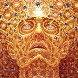 Don'tfreakonmyacid