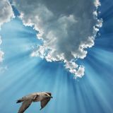 There are so many fragile things, after all. People break so easily, and so do dreams and hearts