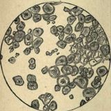 mR_BLACk - Under The Microscope