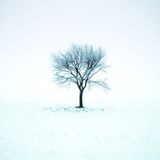 To Thaw A Winters Chill