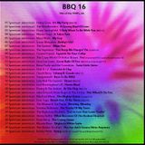 SeeWhy BBQ16
