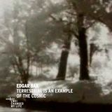 Edgar Bąk - Terrestrial Is An Example Of The Cosmic