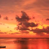 CHILL SUMMER 1 (mixed by dj ienz)