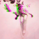 ὄρνις_λόγος ☞ Ornithology
