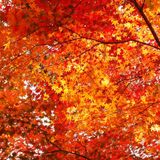 ben mitchell autumn 2013 mix