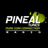 PURE EDM CONNECTION MIX BY FAURESTE Episode 2 www.pinealtunes.com