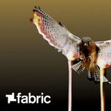 Cyrus - Chestplate mix for FABRICLIVE