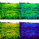 ZacGk // Sleeping Ute // OFFradio 28.4.2013