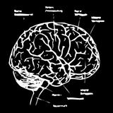 DeEp Movements