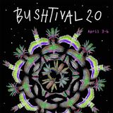 2014 Bushtival DnB set (rough & extended)