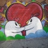 Feel My Love