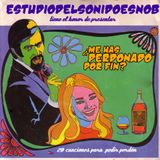 PLAYLIST ¿Me has perdonado por fin?