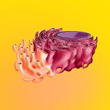 Synedoki (12” Mix)