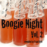 Boogie Night Vol. 2