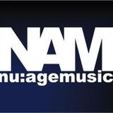 Jam Thieves NAM podcast 10