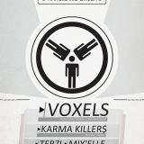Voxels - Omega 3 Exclusive Mix