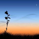 SPANISH CHILLOUT VOCAL MIX