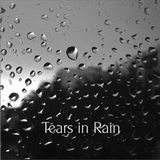 Still tears in the rain Pt 2