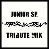Junior SP. - 20 Years Of Terror X Crew - Tribute Mix
