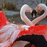 Let Your Love Come Down - Mix