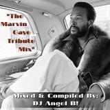 The Marvin Gaye Tribute - Mixed & Compiled By: DJ Angel B!