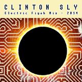 Clinton Sly - Electric Fiyah Mix 2014