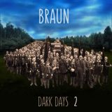 Braun - Dark Days (2)