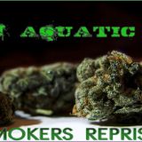 Dj Aquatic-Smoker's Reprise