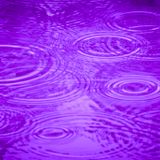 purple rain