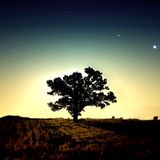 Sharlex - PROMO WARM UP MIX (DEEP HOUSE, VOCAL HOUSE, NU DISCO) (115-124 BPM)